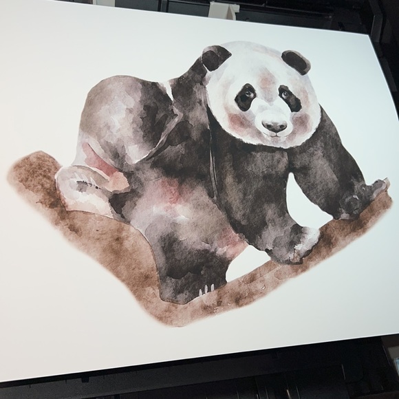 Watercolor Panda Portrait Wall Art Print Poster Unframed - Picture 10 of 16